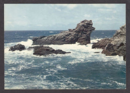 063664/ BELLE-ILE-EN-MER, Pointe Des Poulains, *Rocher Du Chien* - Belle Ile En Mer