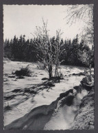 119600/ Hiver En Haute-Belgique - Autres & Non Classés