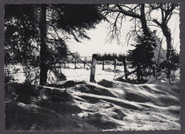 119598/ Hiver En Haute-Belgique - Sonstige & Ohne Zuordnung