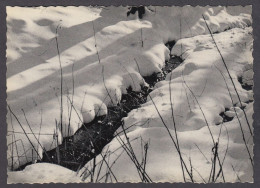 119591/ Hiver En Haute-Belgique - Autres & Non Classés