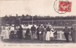 14-Deauville Champ De Courses Les Tribunes Vue Prise De La Pelouse - Deauville