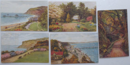 SHANKLIN, I Of Wight - Lot De 5 CPA Illustrées Colorisée A.R. Quinton - Shanklin