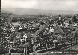 11641279 Hoengg Zuerich Panorama Blick Ins Limmattal Baumbluete  - Andere & Zonder Classificatie