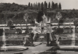 AD273 Pescia (Pistoia) - Collodi - Villa Garzoni - Il Giardino / Non Viaggiata - Sonstige & Ohne Zuordnung
