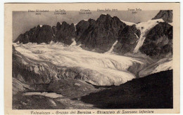 VALMALENCO - GRUPPO DEL BERNINA - GHIACCIAIO DI SCERSCEN INFERIORE - SONDRIO - 1926 - Vedi Retro - F.p - Sondrio