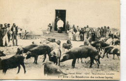 2B- CORSE -   BENEDICTION Des Cochons - Altri & Non Classificati