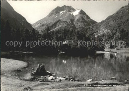 11640979 Maloja GR Cavlocciosee Engadin Maloja - Sonstige & Ohne Zuordnung