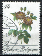 België 1990 OBP 2370 - Y&T 2370 - Belgica90, Roos, Rose Tricolore, Roses De Redouté - Bonne Valeur - Usados