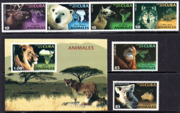 Cuba 2011 - Fauna - Koala - Bear - Wolf - Monkey - MNH Set + S/S - Nuovi