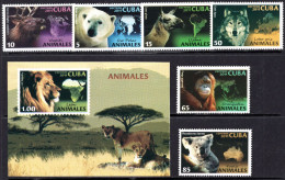 Cuba 2011 - Fauna - Koala - Bear - Wolf - Monkey - MNH Set + S/S - Nuevos