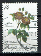 België 1990 OBP 2370 - Y&T 2370 - Belgica90, Roos, Rose Tricolore, Roses De Redouté - Bonne Valeur - Usados