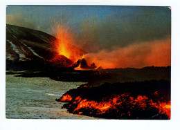 ETNA - Paesaggio Lavico - Catania