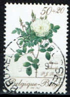 België 1990 OBP 2355 Flowers Roos - Rose - Bonne Valeur - Gebraucht