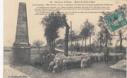 DREUX (Eure-et-Loir): La Pyramide - Limite De L'ancienne Généralité D'Alençon - Troupeeau De Moutons - Dreux