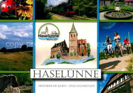 73214657 Haseluenne Historische Korn Und Hansestadt Landschaftspanorama Pferde D - Haseluenne