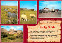 73214614 Hallig Groede Landschaftspanorama Schafe Haeuser Hafen Hallig Groede - Sonstige & Ohne Zuordnung