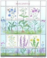 2016. Moldova, Flora Of Moldova, Wild Flowers,  S/s, Mint/** - Moldavie