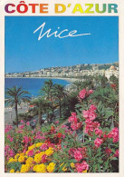 AK 210809 FRANCE - Nice - Panorama's