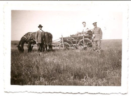 Photo Originale , Métier , Agriculture , Attelage De Chevaux , 1941 , Dim. 8.5 Cm X 5.5 Cm - Berufe