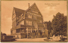 Beneckenstein (Oberharz) - Kurhaus Tannenwald Gel.1925 Bahnpost - Other & Unclassified