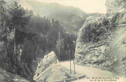 38 - Isère - Route De Grenoble à Gap - Le Ol De La Croix Haute - CPA - Voir Scans Recto-Verso - Autres & Non Classés