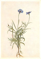 Art - Peinture - Moritz Michael Daffinger - Centaurea Cyanus - Fleurs - CPM - Carte Neuve - Voir Scans Recto-Verso - Malerei & Gemälde