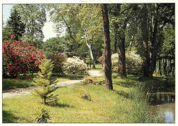 91 - Courson-Monteloup - Domaine De Courson - Printemps - Jardin - Carte Neuve - CPM - Voir Scans Recto-Verso - Autres & Non Classés