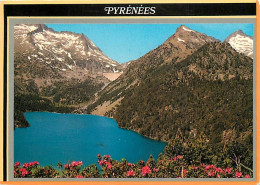 65 - Hautes Pyrénées - Vallée D'Aure - Lac D'Orédon 1852 M - Barrage De Cap De Long 2160 M Et Néouvielle 3092 M - CPM -  - Autres & Non Classés