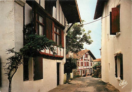 64 - Ascain - Vieille Rue Basque Avec Des Maisons Très Typiques - Etat Léger Pli Visible - CPM - Voir Scans Recto-Verso - Ascain