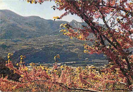 26 - Drome - L'Arbre De Judée Et Les Collines Heureuses Du Nyonsais - Garde Grosse (944 M) Et Le Pic Saint Jaume(791 M)  - Andere & Zonder Classificatie