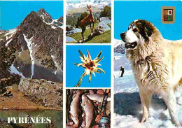 Animaux - Chiens - Chien Des Pyrénées - Multivues - Truires - Montagnes - Blasons - CPM - Voir Scans Recto-Verso - Dogs