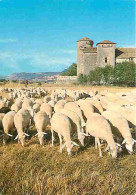 Animaux - Moutons - Au Pays Des Grands Causses - CPM - Voir Scans Recto-Verso - Sonstige & Ohne Zuordnung