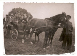 Photo Originale , Métier , Agriculture , Attelage De Chevaux  , Militaires , 1943 , Dim. 8.5 Cm X 5.5 Cm - Profesiones