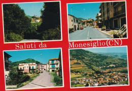 Monesiglio Cuneo Vedutine - Altri & Non Classificati