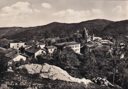 Viola Panorama - Sonstige & Ohne Zuordnung