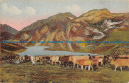 R044261 Tableaux Pyrenees. Troupeau Descendant Des Hauts Paturages - Wereld