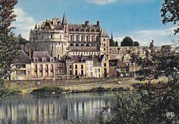 AK 210815 FRANCE - Amboise - Le Chateau Royale - Amboise