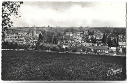 DONNEMARIE EN MONTOIS - Le Panorama - Autres & Non Classés