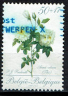 België 1989 OBP 2320 - Y&T 2320 - Roos, Rose De L'ouvrage De Pierre-Joseph Redouté - Bonne Valeur - Usati