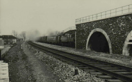 Train Sur Une Voie à Situer - Cliché Jacques H. Renaud - Treni