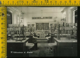 Brescia Manerbio - Il Laboratorio Di Chimica  (foto) - Brescia