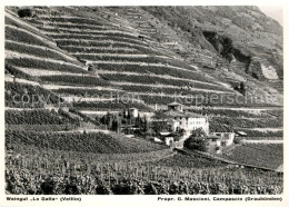 73203180 Sondrio Weingut La Gatta Sondrio - Other & Unclassified