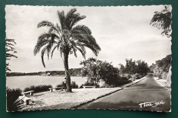 Dakar, La Route De La Corniche, Ed Cerbelot, N° 730 - Senegal