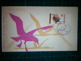 RÉPUBLIQUE ORIENTALE DE L'URUGUAY, Enveloppe FDC Commémorant La "Série Des Oiseaux De L'Uruguay". Timbre-poste Et Cachet - Uruguay