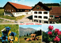 73173829 Zollhaus Allgaeu Gut Gstoer  Zollhaus Allgaeu - Pfronten