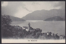 AK Beckenried See-Ansicht Schweiz  (12640 - Beckenried