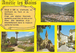 AK 210844 FRANCE - Amélie Les Bains - Amélie-les-Bains-Palalda