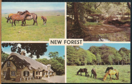 °°° 30912 - UK - NEW FOREST - VIEWS - 1967 With Stamps °°° - Autres & Non Classés