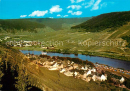 73173292 Valwig Und Ernst Weinberge Moselschleife Landschaftspanorama Cornely Ka - Other & Unclassified
