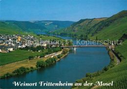 73173286 Trittenheim Mosel Panorama Blick Von Den Weinbergen Auf Die Mosel Tritt - Altri & Non Classificati